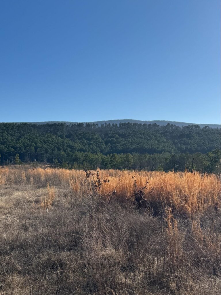 Why Recreational Land in Northwest Arkansas Is One of the Smartest Investments You Can Make