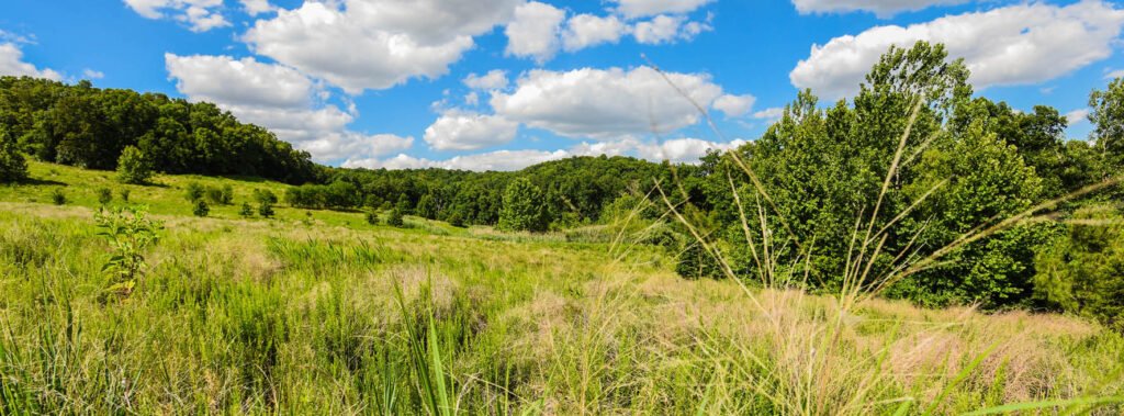 Why Land Ownership Makes More Financial Sense Than Traditional Investments in Northwest Arkansas