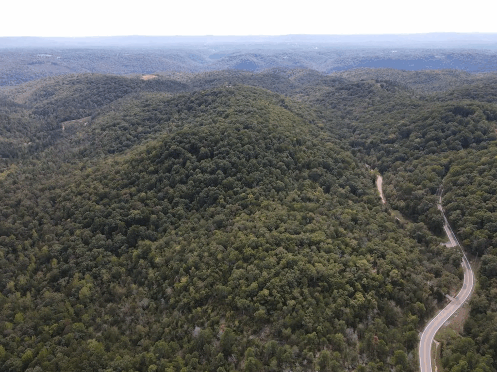 The Complete Guide to Buying Your First Hunting Property in Northwest Arkansas