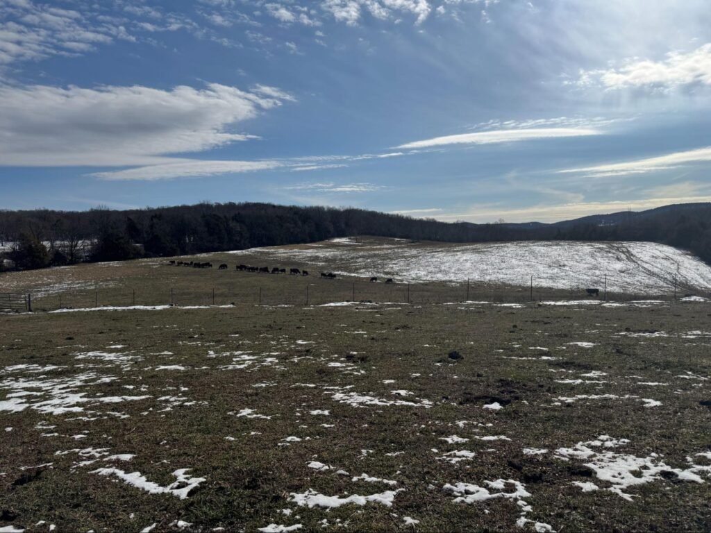 How to Spot Hidden Value in Development Land